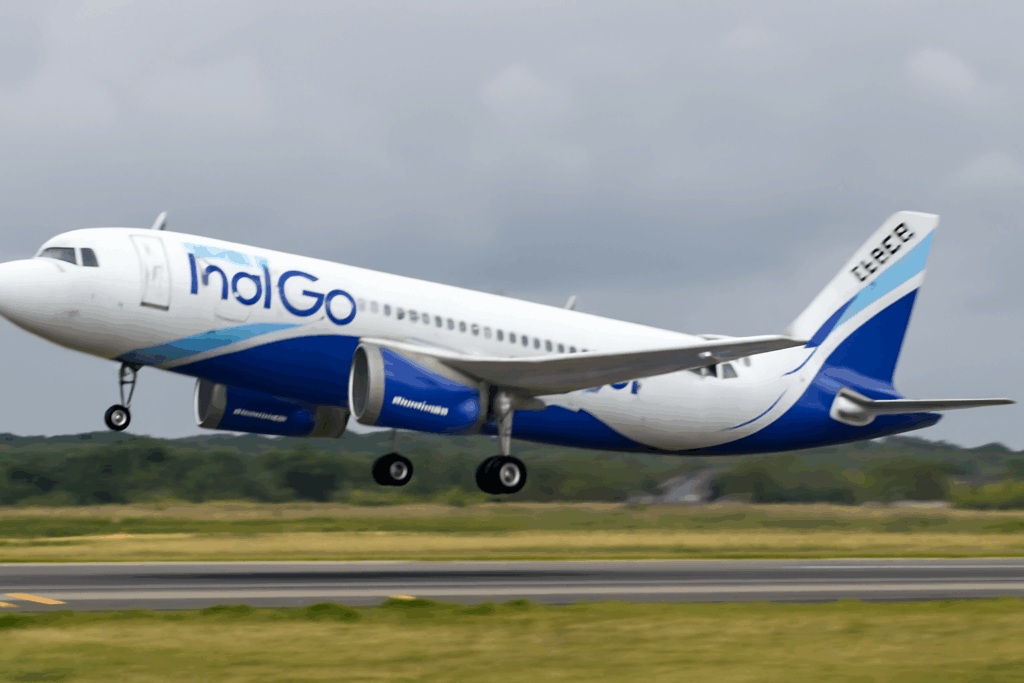 Indigo Careers as a pilot